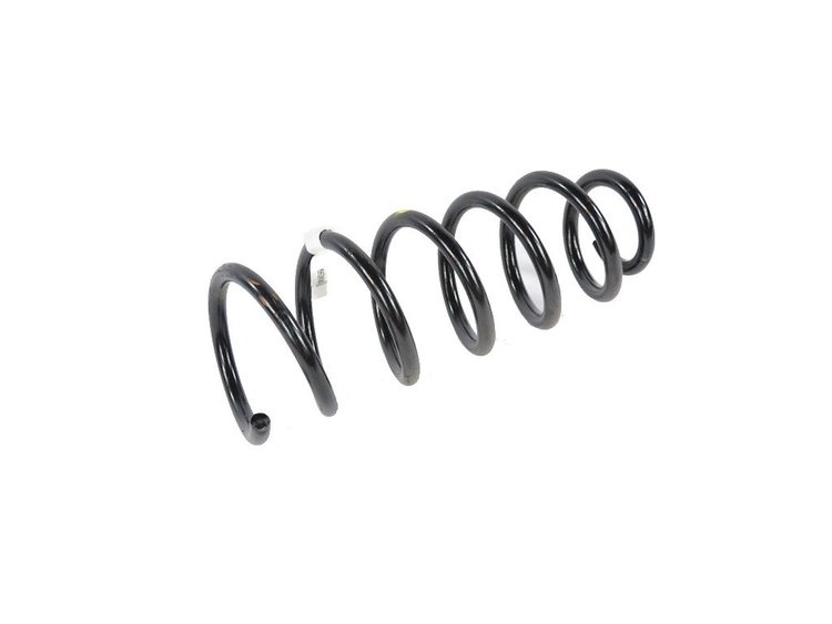SPRING REAR COIL