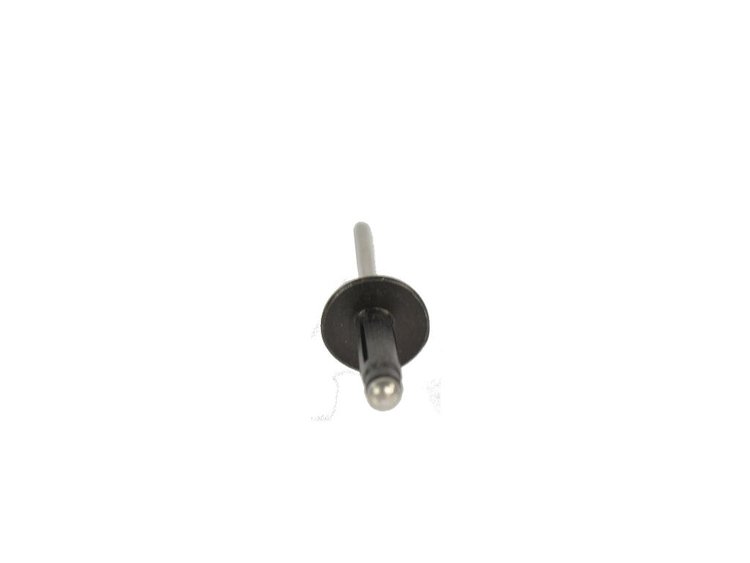 RIVET