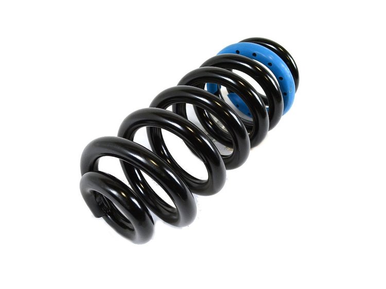 SPRING REAR COIL
