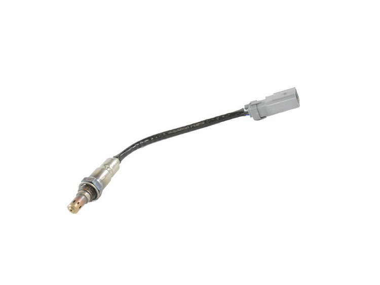 SENSOR OXYGEN