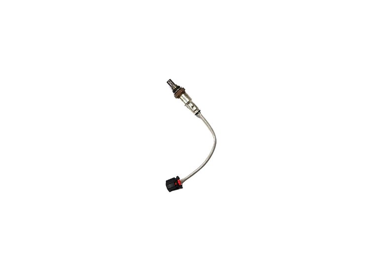 SENSOR OXYGEN