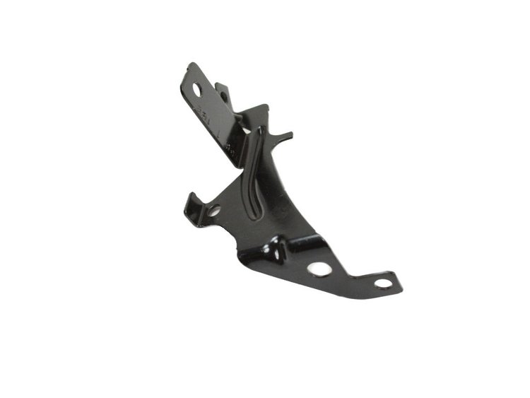 BRACKET PURGE CANISTER
