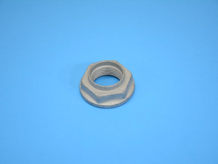 NUT PINION