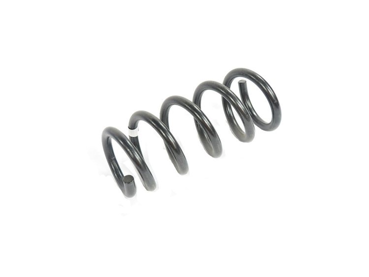 SPRING REAR COIL