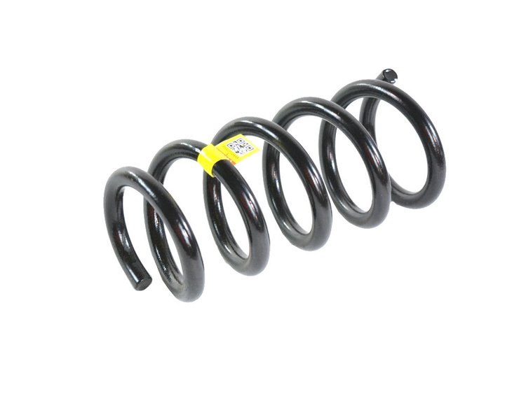 SPRING REAR COIL