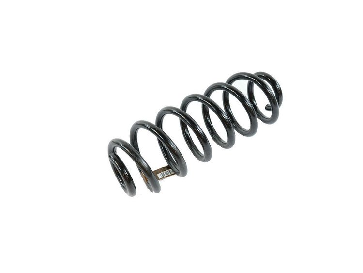 SPRING REAR COIL
