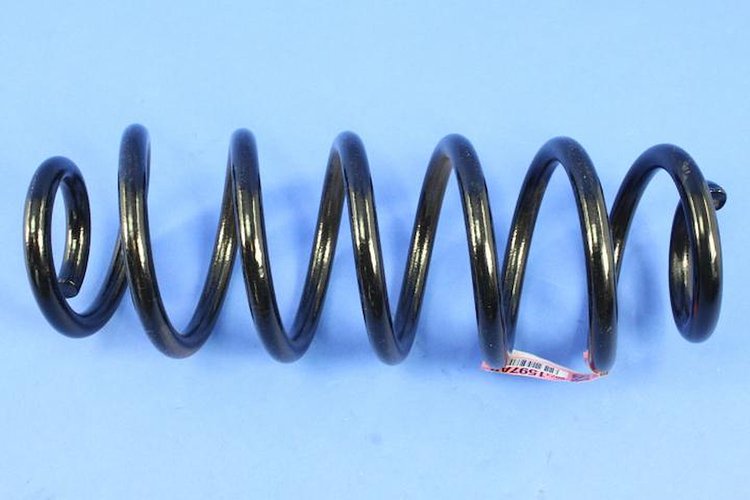 SPRING REAR COIL