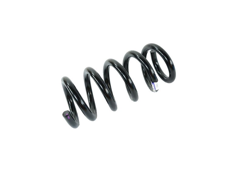 SPRING REAR COIL