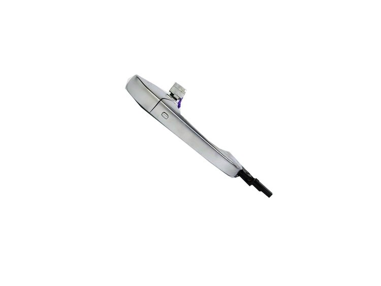 HANDLE EXTERIOR DOOR