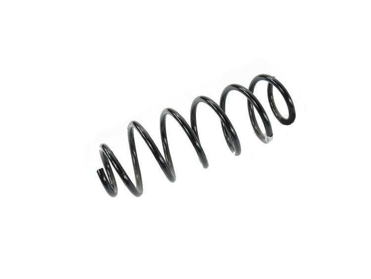 SPRING REAR COIL