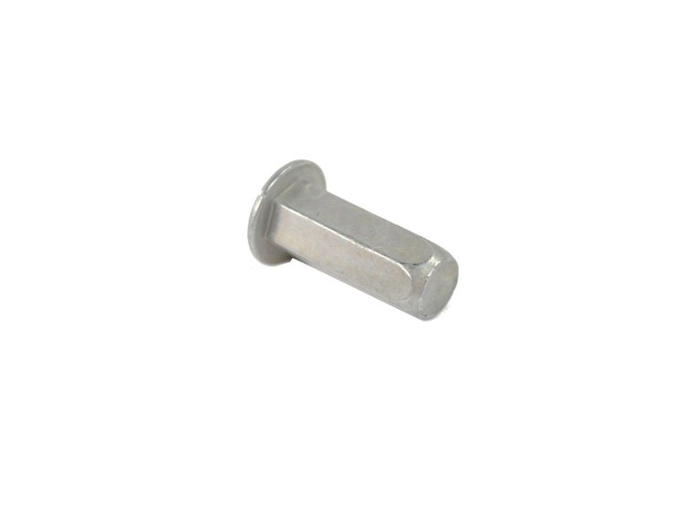 RIVET