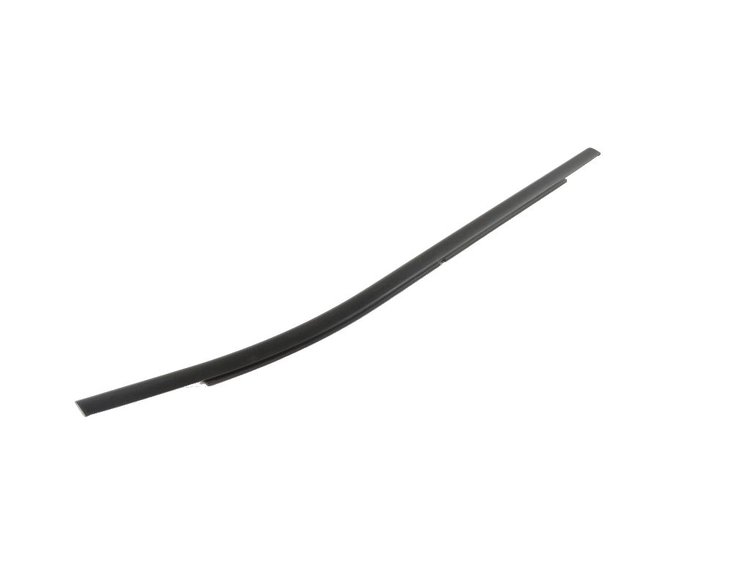 REAR DOOR BELT OUTER