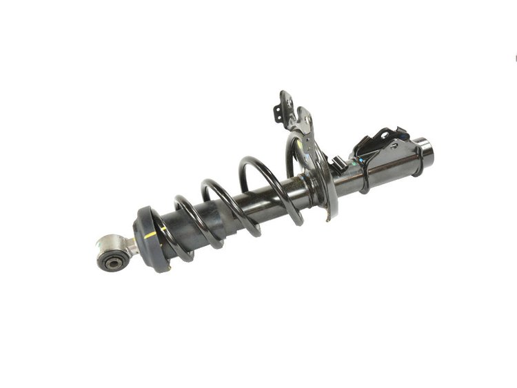 STRUT REAR SUSPENSION