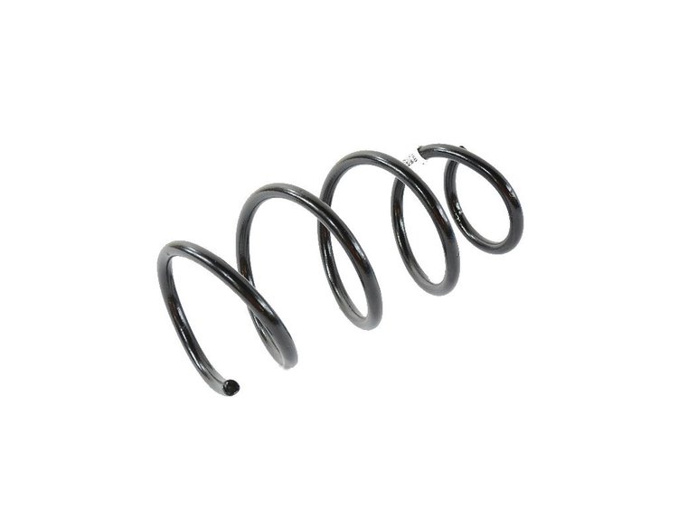SPRING REAR COIL