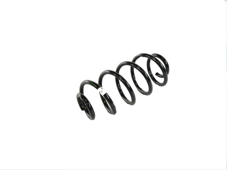 SPRING REAR COIL