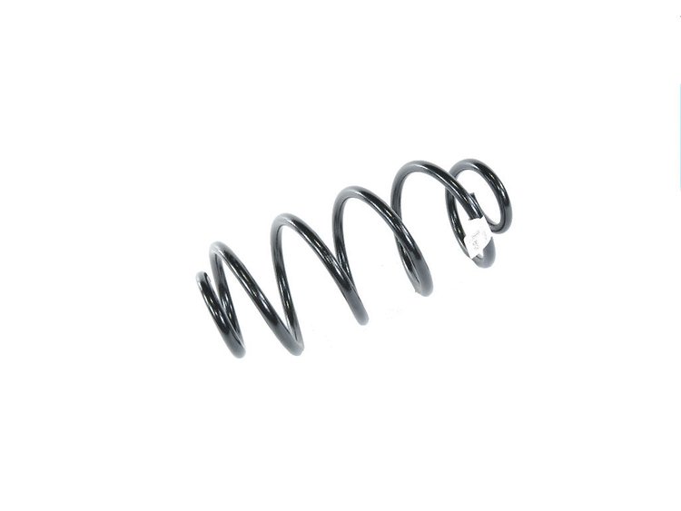SPRING REAR COIL