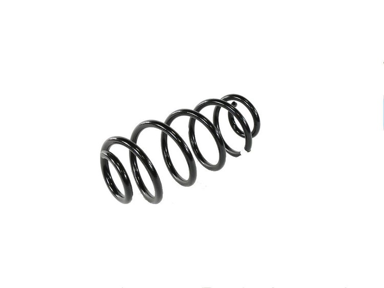 SPRING REAR COIL