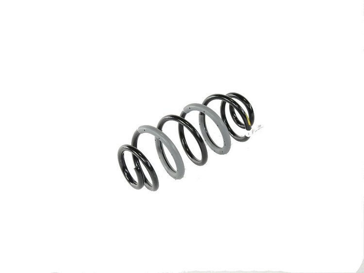 SPRING REAR COIL