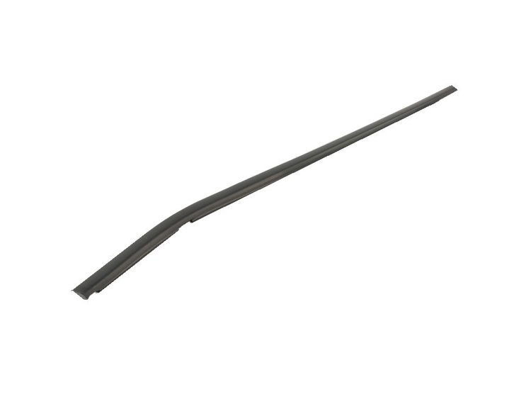 W/STRIP FRONT DOOR BELT