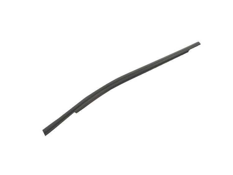 REAR DOOR BELT OUTER