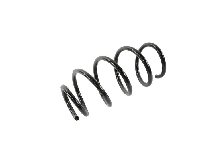 SPRING REAR COIL
