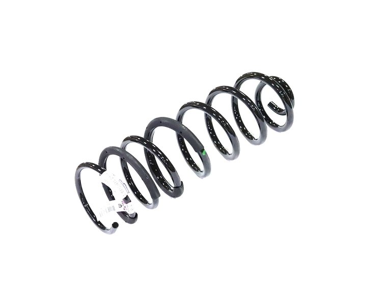 SPRING REAR COIL