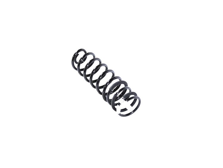 SPRING REAR COIL