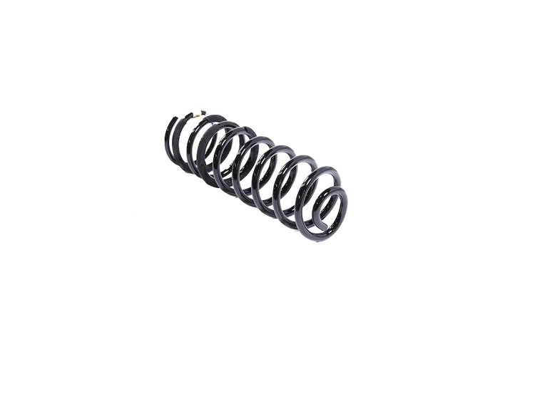 SPRING REAR COIL