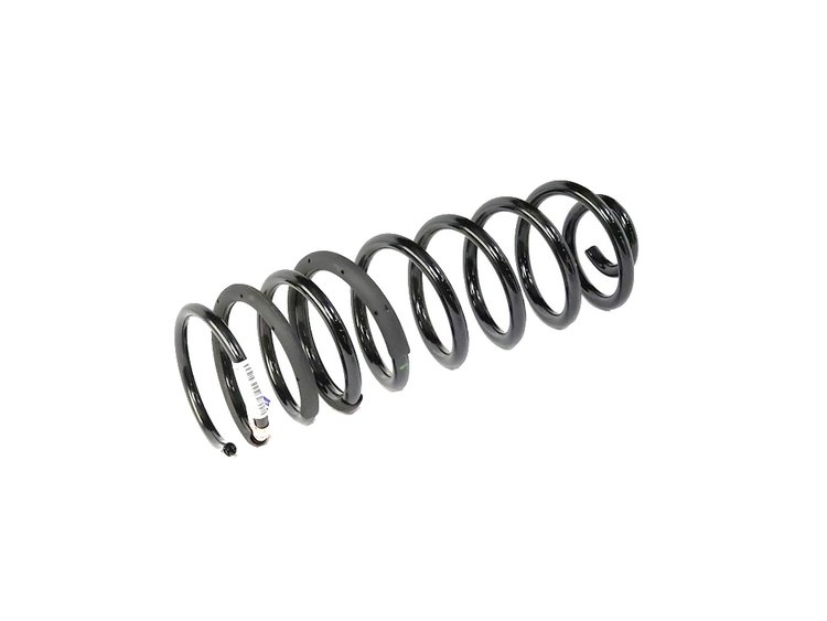 SPRING REAR COIL