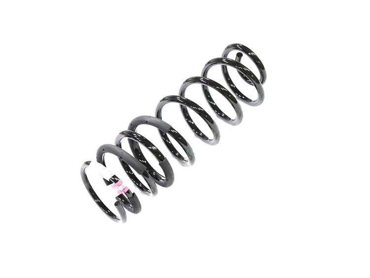 SPRING REAR COIL