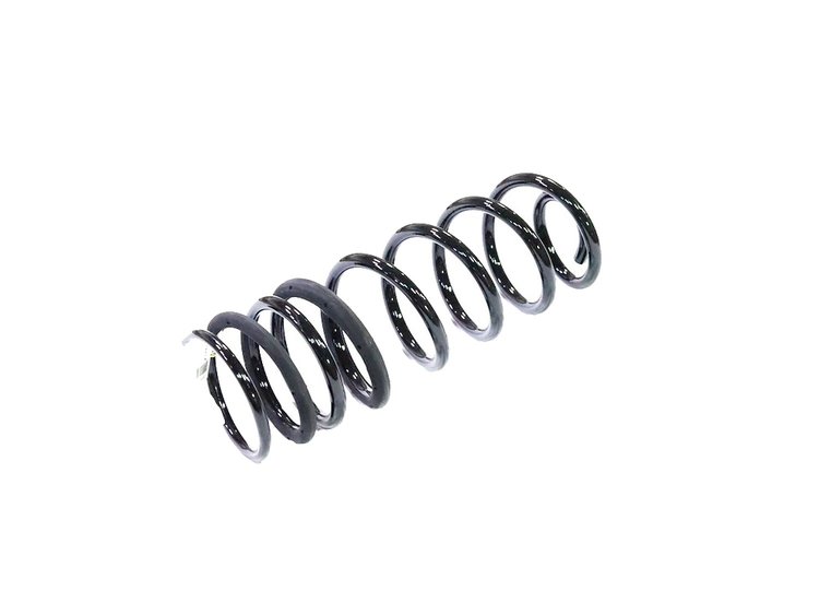 SPRING REAR COIL