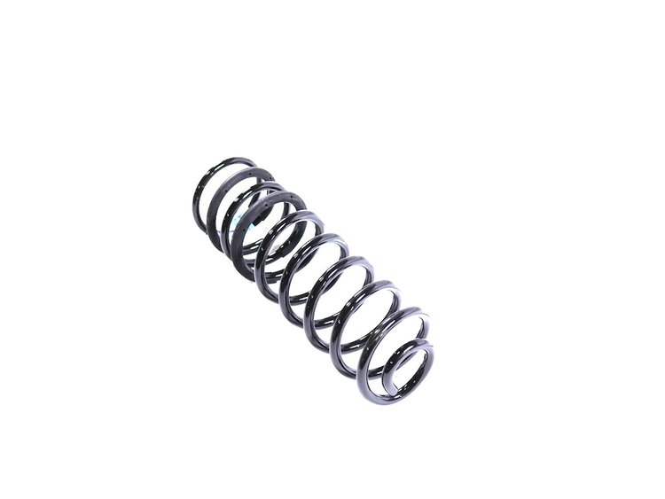 SPRING REAR COIL