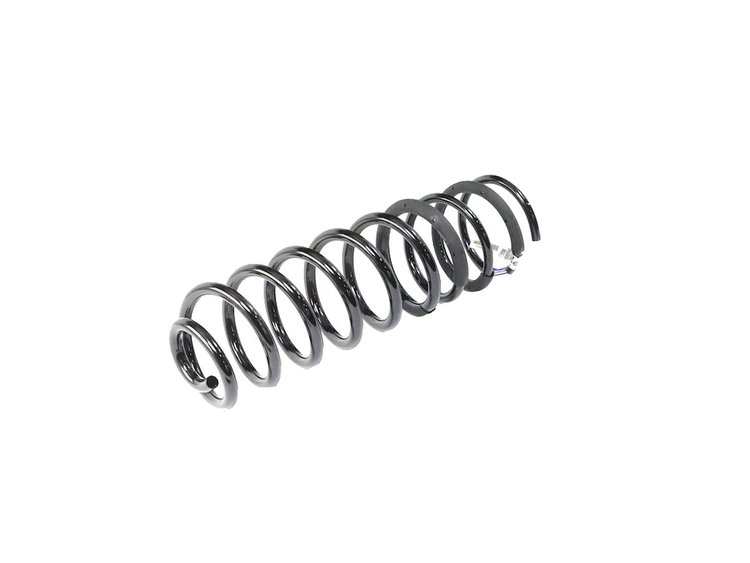 SPRING REAR COIL