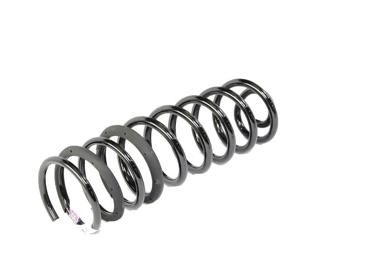 SPRING REAR COIL