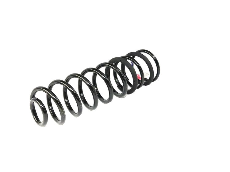SPRING REAR COIL