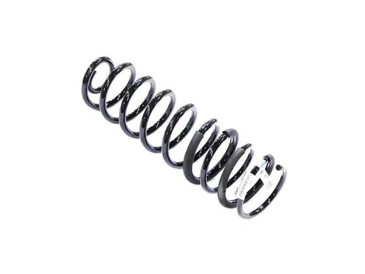 SPRING REAR COIL