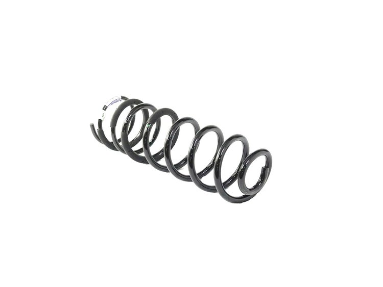 SPRING REAR COIL