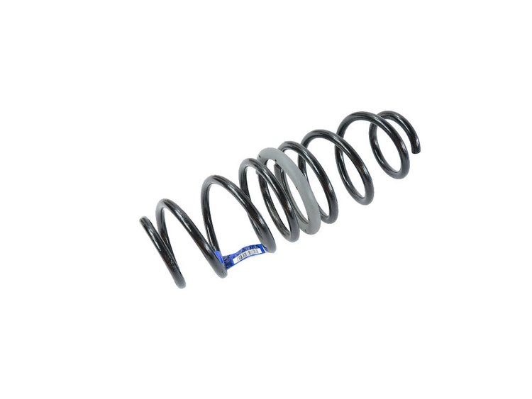SPRING REAR COIL