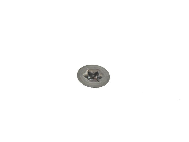 PLUG SCREW