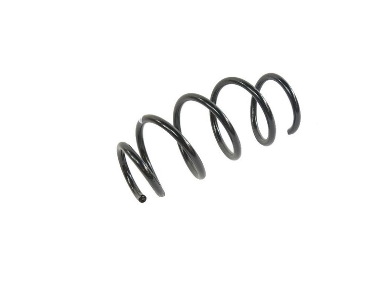 SPRING REAR COIL
