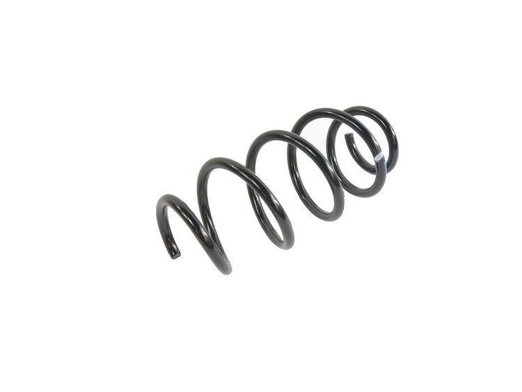 SPRING REAR COIL