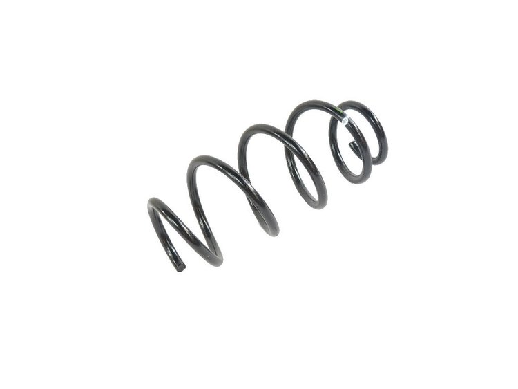 SPRING REAR COIL