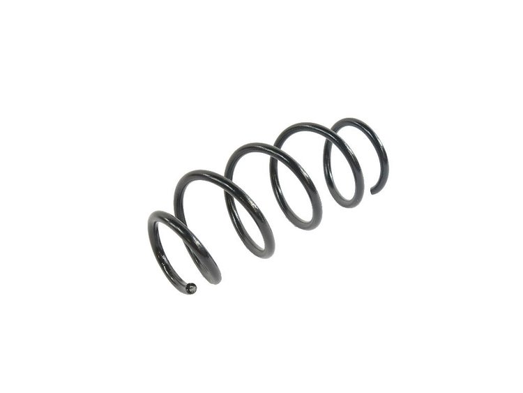 SPRING REAR COIL