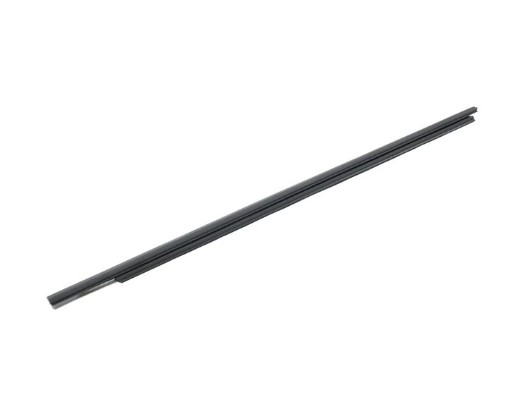 W/STRIP FRONT DOOR BELT