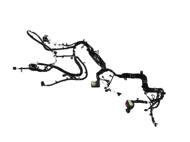WIRING ENGINE & TRANS