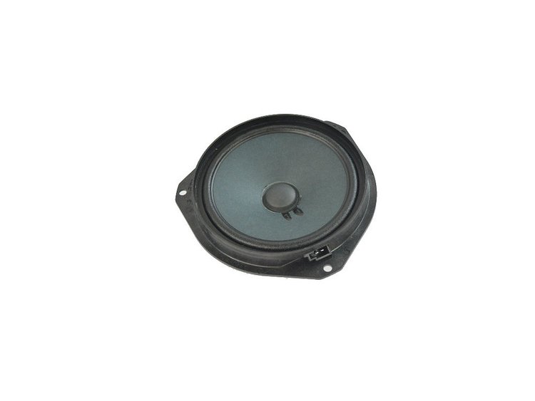 SPEAKER