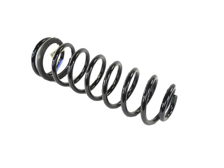 SPRING REAR COIL