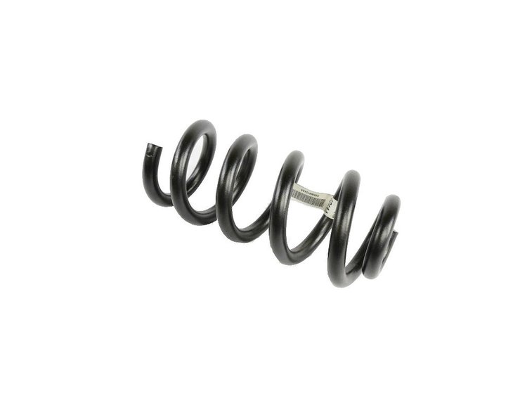 SPRING REAR COIL