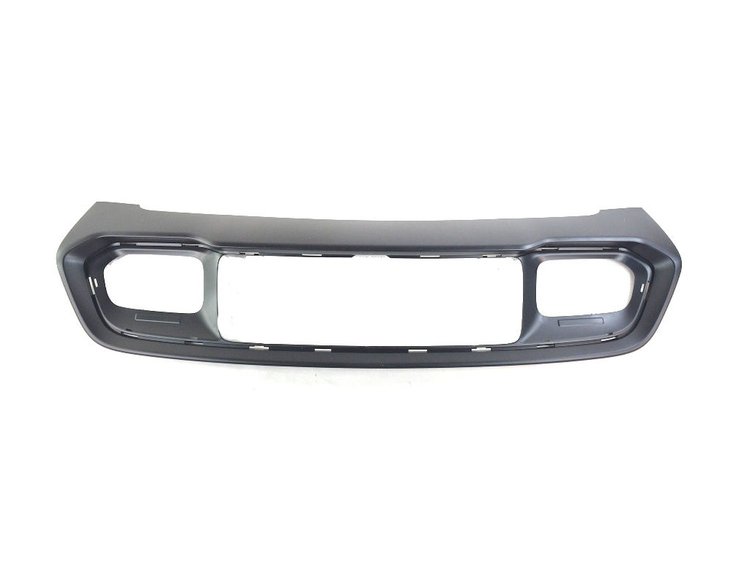 APPLIQUE FASCIA