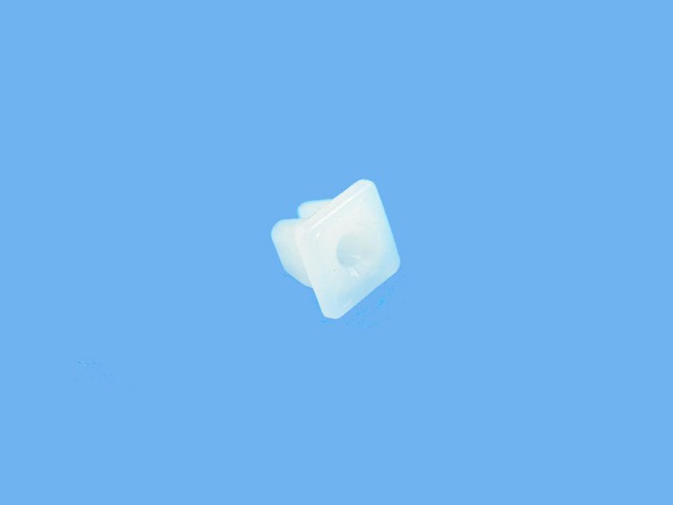 NUT PLASTIC SNAP-IN